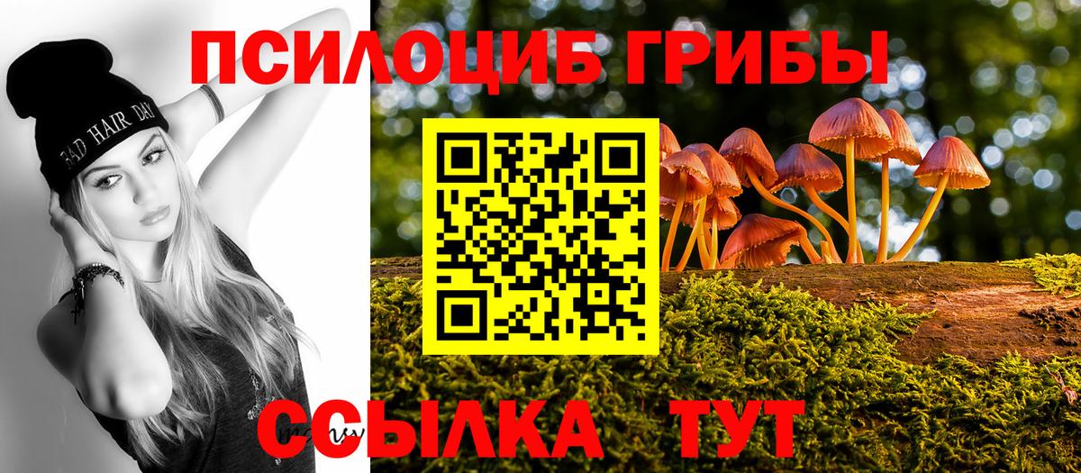 Галлюциногенные грибы Psilocybe Рославль