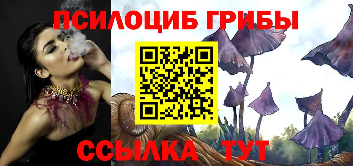 Галлюциногенные грибы GOLDEN TEACHER  Галлюциногенные грибы прущие грибы  Вход с VPN  где найти   Рославль 
